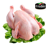 imagem de Carne Frango Fredini Congelado Kg